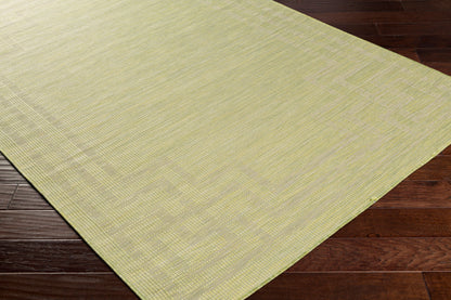 Pasadena PSA-2348 2' x 4' Machine Woven Indoor/Outdoor Accent Rug