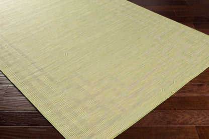 Pasadena PSA-2348 7ft Runner Machine Woven Indoor/Outdoor Runner Rug