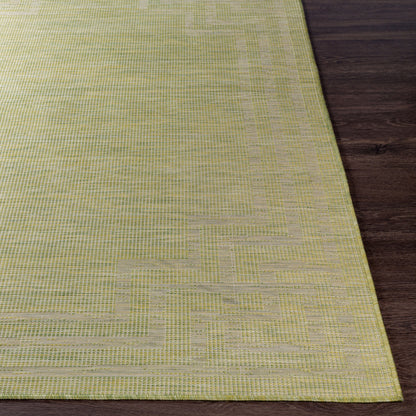 Pasadena PSA-2348 7ft Runner Machine Woven Indoor/Outdoor Runner Rug