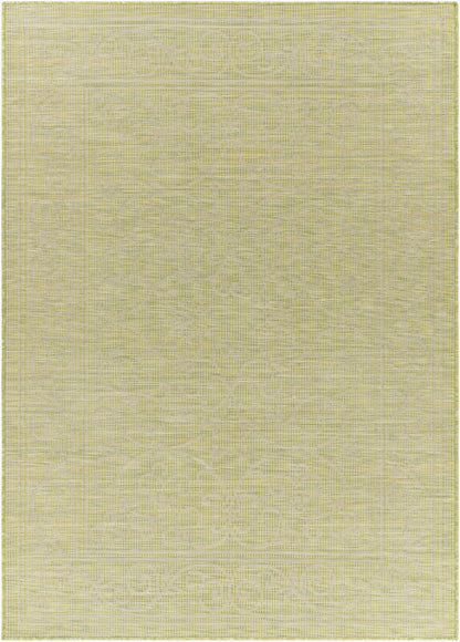 Alfombra decorativa para interior y exterior Pasadena PSA-2355 de 2' x 4', tejida a máquina