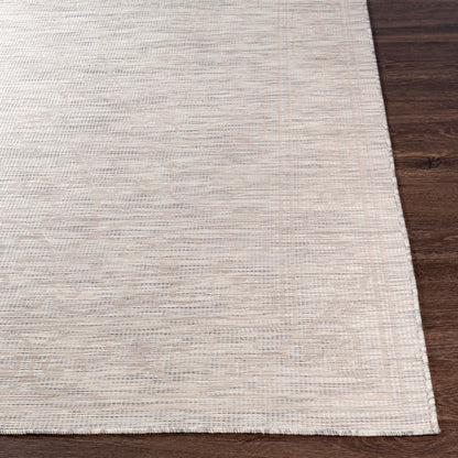 Pasadena PSA-2359 2' x 4' Machine Woven Indoor/Outdoor Accent Rug