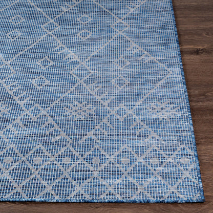 Pasadena PSA-2363 7ft Runner Machine Woven Indoor/Outdoor Runner Rug