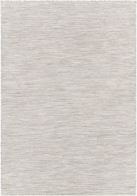 Pasadena PSA-2364 2' x 4' Machine Woven Indoor/Outdoor Accent Rug