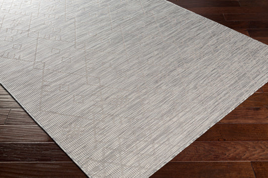 Pasadena PSA-2364 2' x 4' Machine Woven Indoor/Outdoor Accent Rug