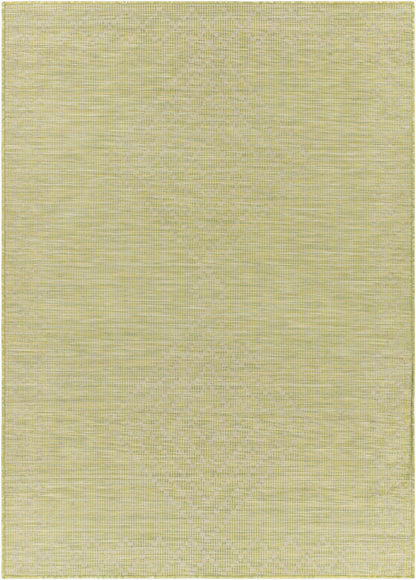 Alfombra decorativa para interior y exterior Pasadena PSA-2366 de 2' x 4', tejida a máquina