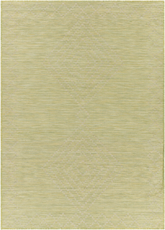 Alfombra decorativa para interior y exterior Pasadena PSA-2366 de 2' x 4', tejida a máquina
