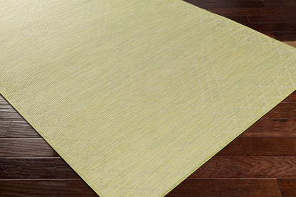 Pasadena PSA-2366 7ft Runner Machine Woven Indoor/Outdoor Runner Rug