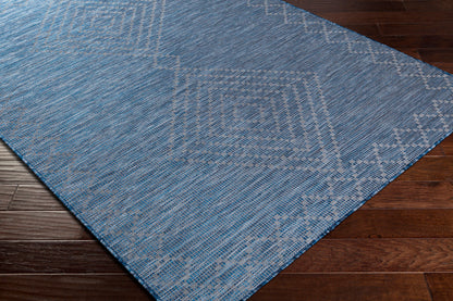Pasadena PSA-2369 7ft Runner Machine Woven Indoor/Outdoor Runner Rug