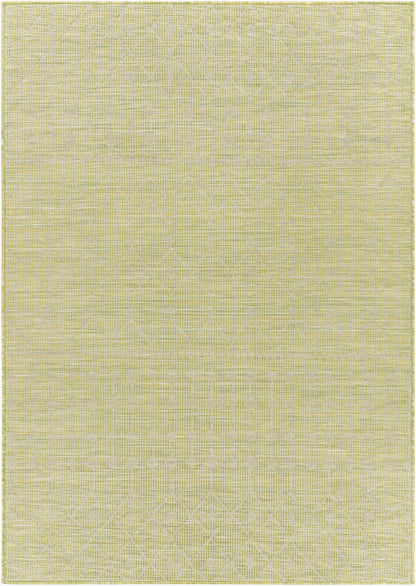 Pasadena PSA-2372 5' x 7' Machine Woven Indoor/Outdoor Area Rug