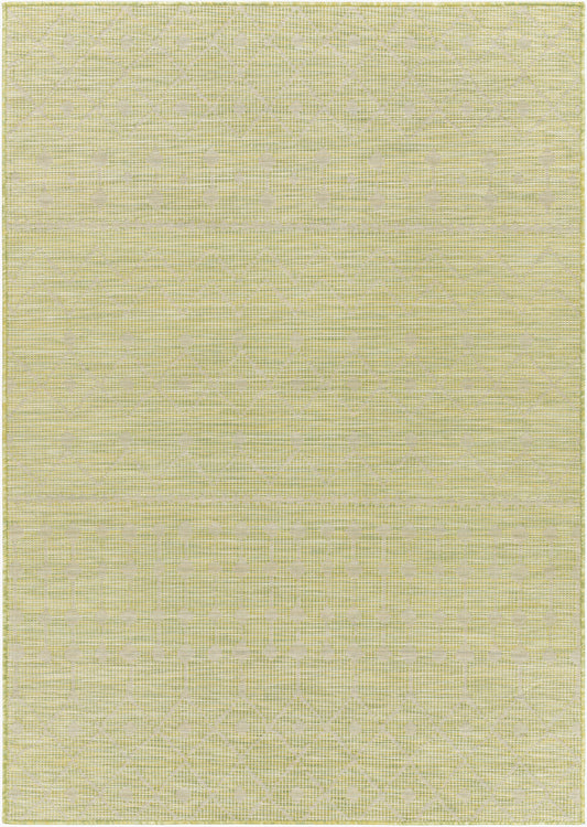Pasadena PSA-2372 5' x 7' Machine Woven Indoor/Outdoor Area Rug