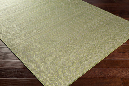 Pasadena PSA-2372 7ft Runner Machine Woven Indoor/Outdoor Runner Rug
