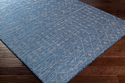 Pasadena PSA-2375 7ft Runner Machine Woven Indoor/Outdoor Runner Rug
