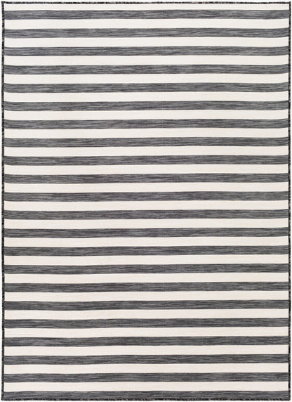 Pasadena PSA-2382 2' x 5' Machine Woven Indoor/Outdoor Accent Rug