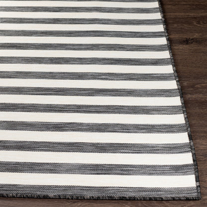 Pasadena PSA-2382 2' x 5' Machine Woven Indoor/Outdoor Accent Rug