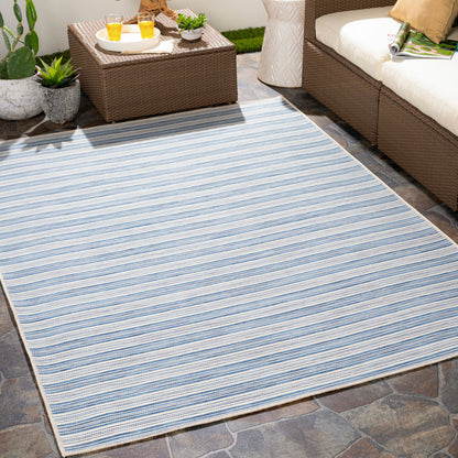 Pasadena PSA-2385 2' x 5' Machine Woven Indoor/Outdoor Accent Rug