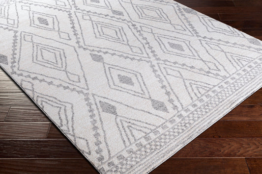 Positano PSN-2303 5' x 7' Machine Woven Area Rug