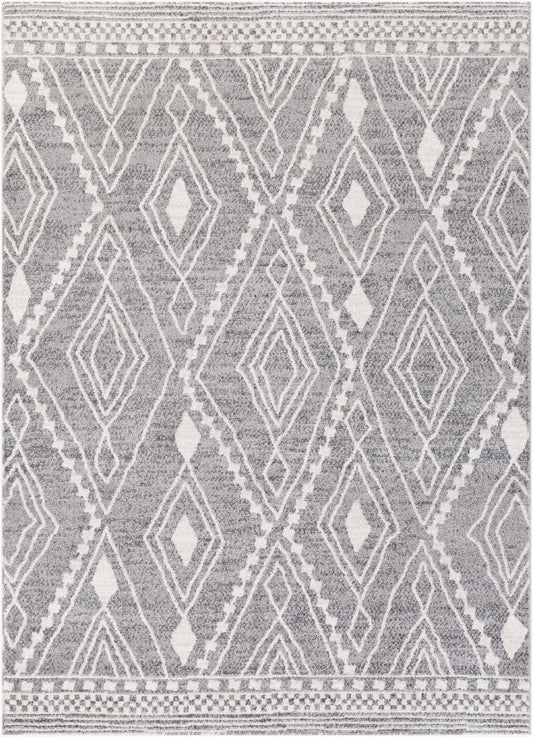 Positano PSN-2304 5' x 7' Machine Woven Area Rug