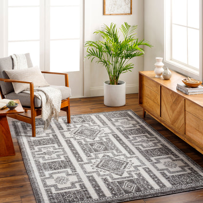 Positano PSN-2317 9' x 12' Machine Woven Area Rug