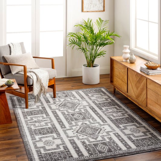 Positano PSN-2317 9' x 12' Machine Woven Area Rug