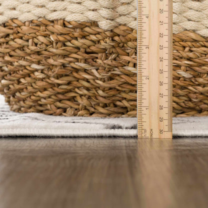 Pisa PSS-2300 Machine Woven Rug