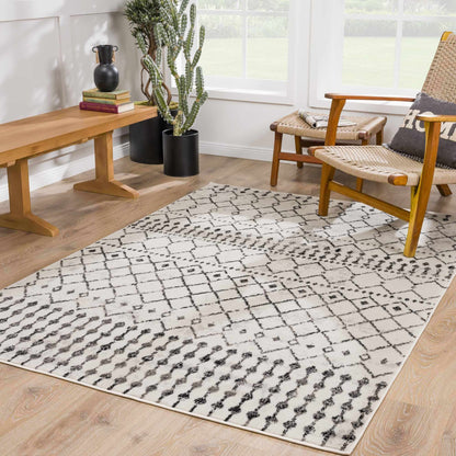 Pisa PSS-2300 Machine Woven Rug