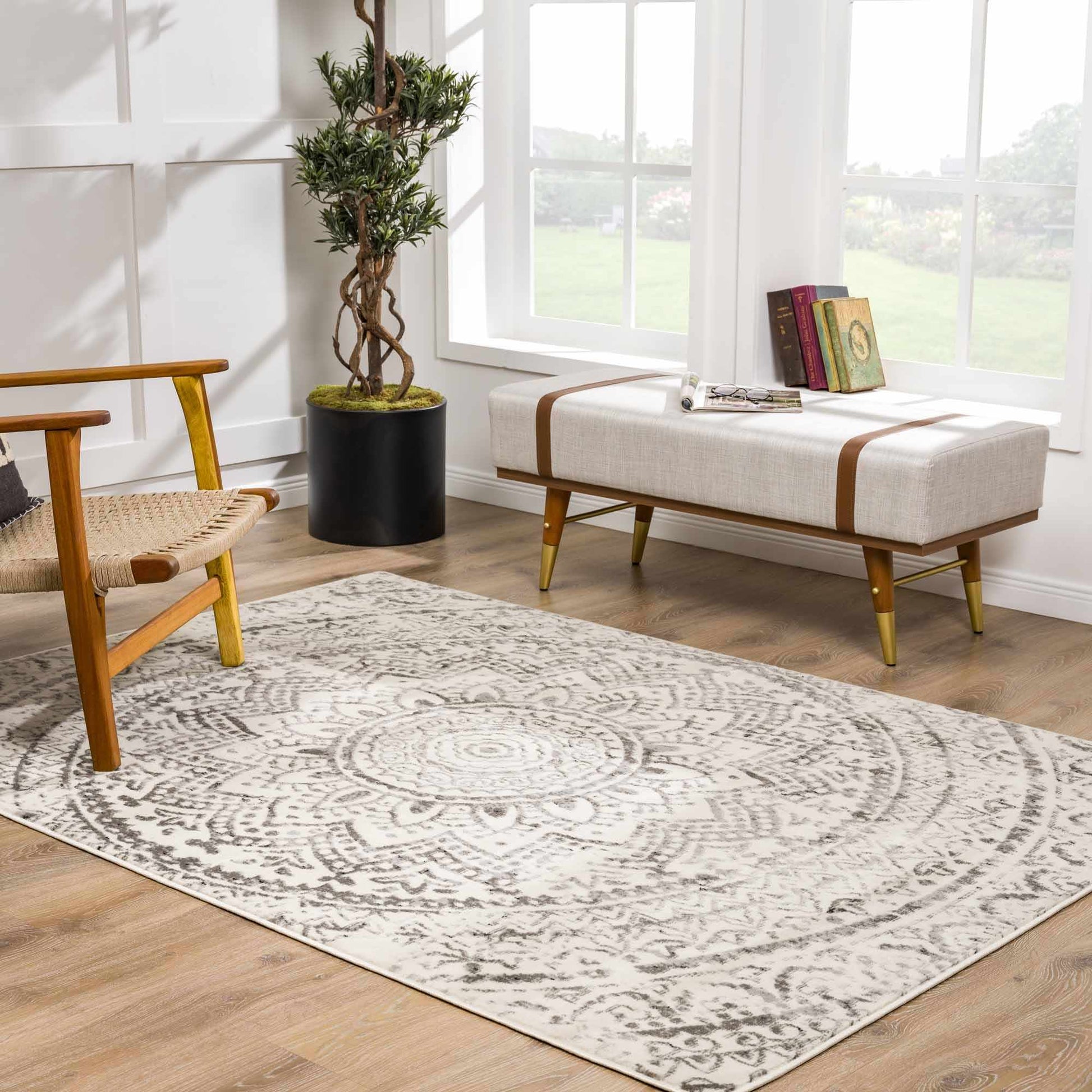 Pisa PSS-2326 Machine Woven Rug