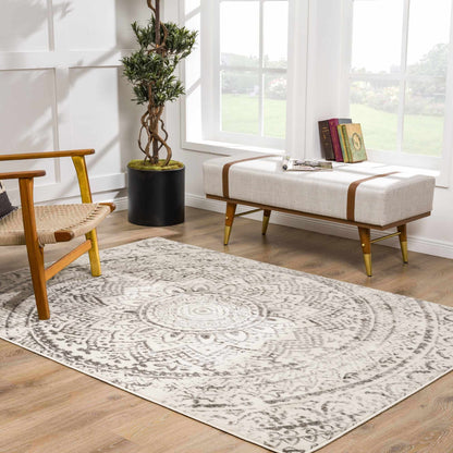 Pisa PSS-2326 Machine Woven Rug