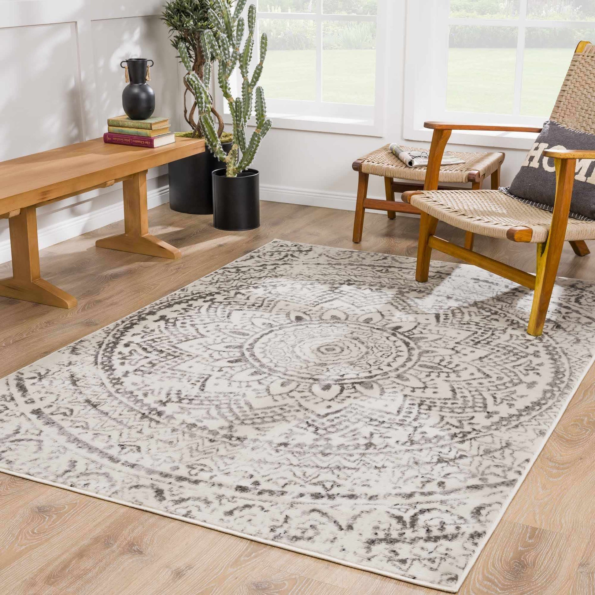 Pisa PSS-2326 Machine Woven Rug