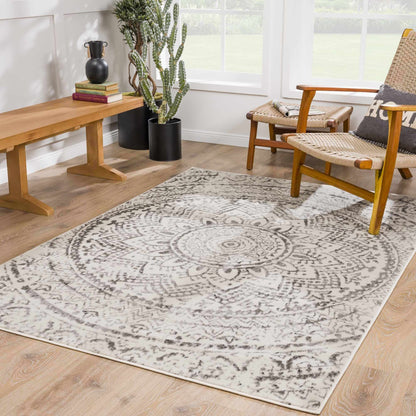 Pisa PSS-2326 Machine Woven Rug