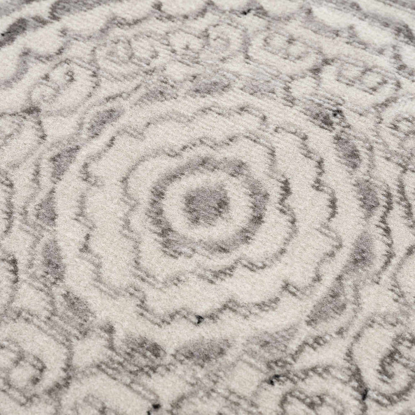 Pisa PSS-2326 Machine Woven Rug