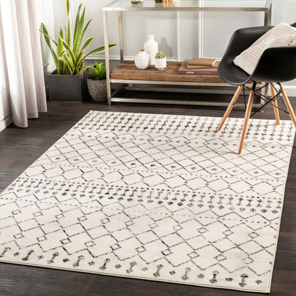 Pisa PSS-2300 9' x 12' Machine Woven Area Rug