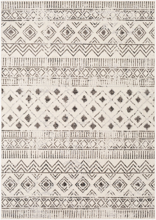Pisa PSS-2305 5' x 7' Machine Woven Area Rug