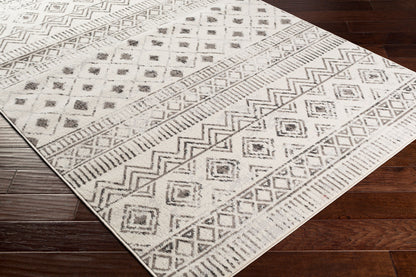 Pisa PSS-2305 8' x 10' Machine Woven Area Rug