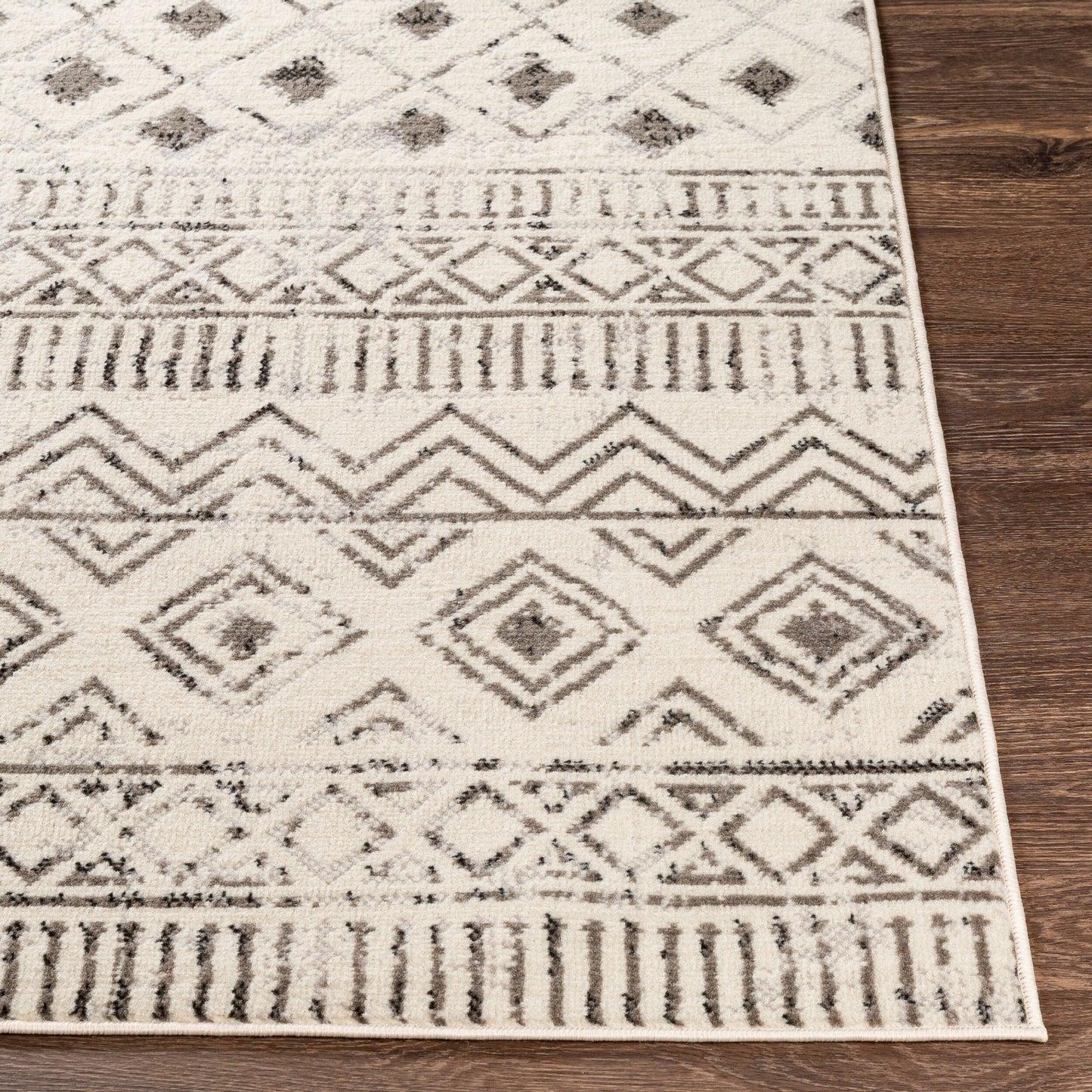 Pisa PSS-2305 8' x 10' Machine Woven Area Rug