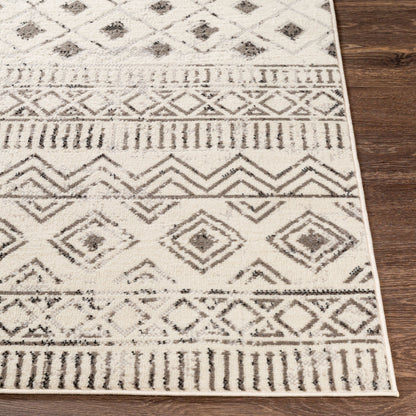 Pisa PSS-2305 8' x 10' Machine Woven Area Rug