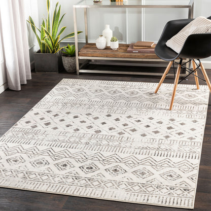 Pisa PSS-2305 8' x 10' Machine Woven Area Rug