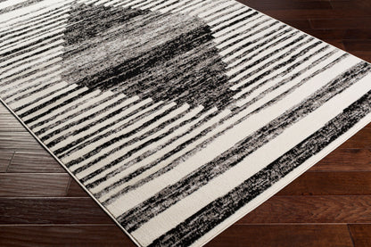 Pisa PSS-2312 5' x 7' Machine Woven Area Rug