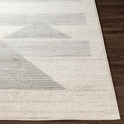 Pisa PSS-2321 5' x 7' Machine Woven Area Rug