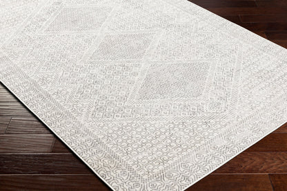 Pisa PSS-2345 8' x 10' Machine Woven Area Rug