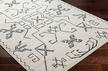Pisa PSS-2362 8' x 10' Machine Woven Area Rug