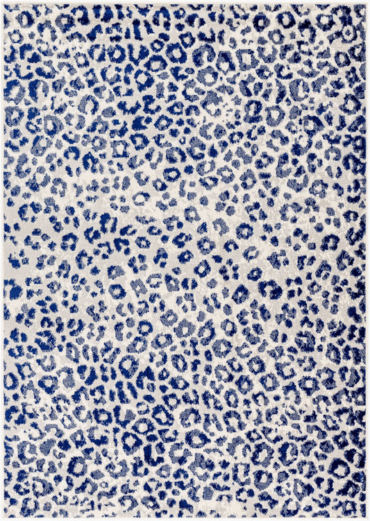 Pisa PSS-2380 5' x 7' Machine Woven Area Rug