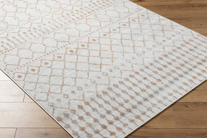 Pisa PSS-2386 8' x 10' Machine Woven Area Rug