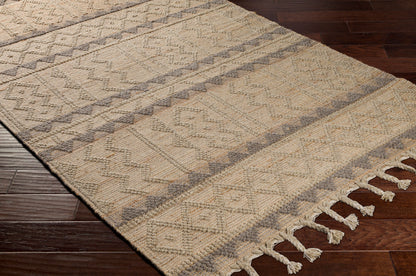 Preston PTN-2301 2' x 3' Handmade Accent Rug