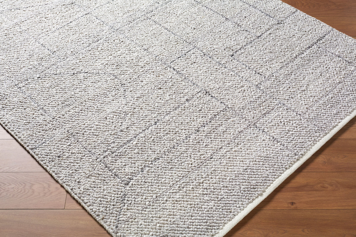 Provence PVE-2303 Hand Woven Rug