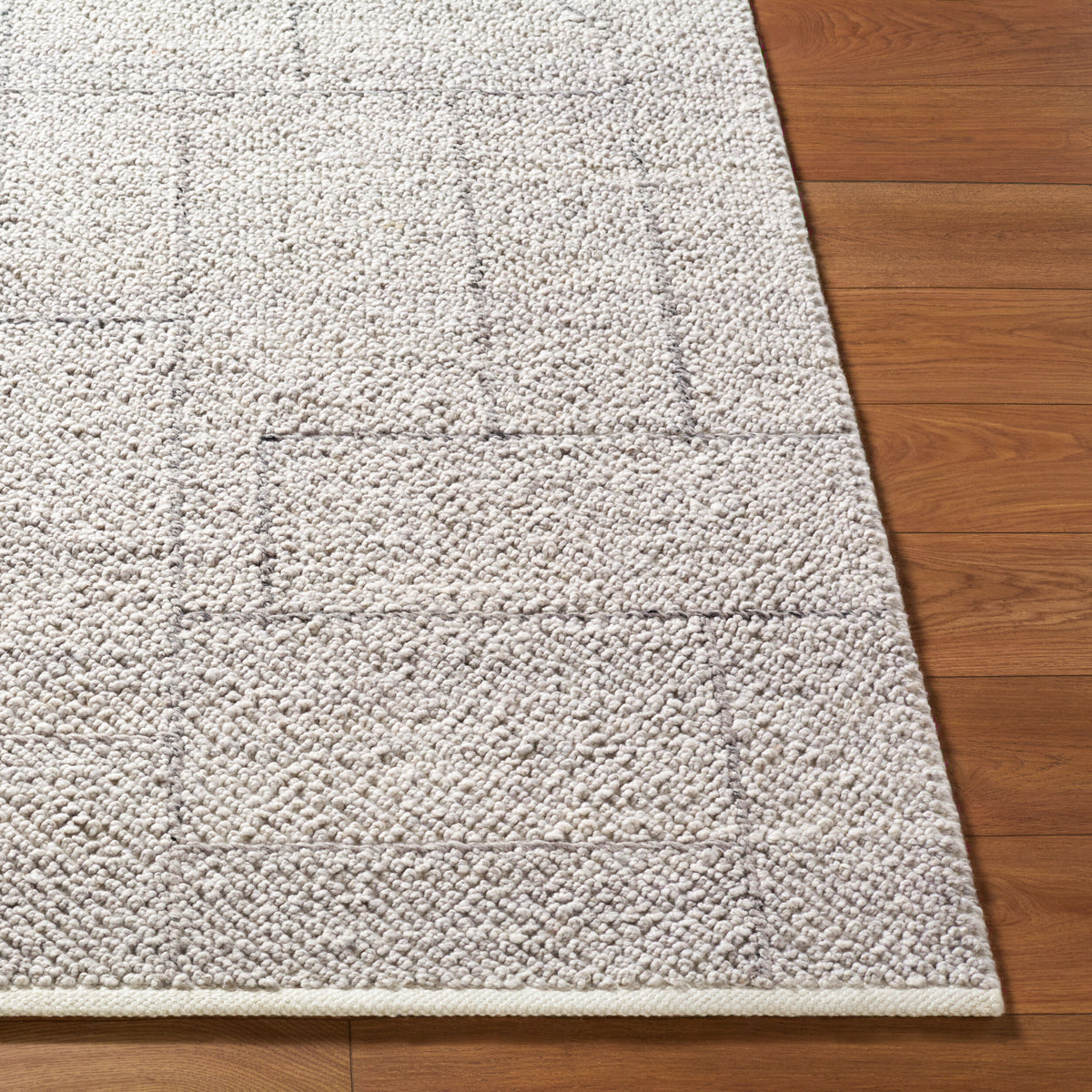 Provence PVE-2303 Hand Woven Rug