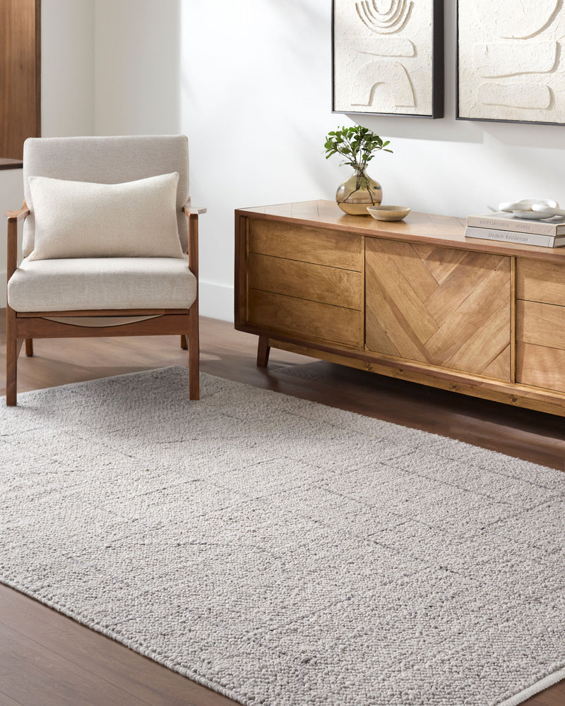 Provence PVE-2303 Hand Woven Rug