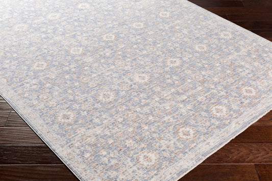 Palazzo PZL-2303 2' x 3' Machine Woven Accent Rug
