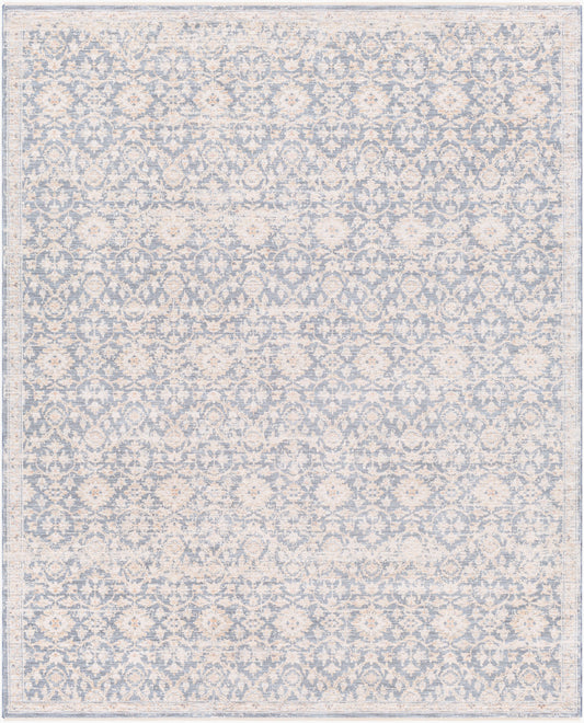 Palazzo PZL-2303 2' x 3' Machine Woven Accent Rug