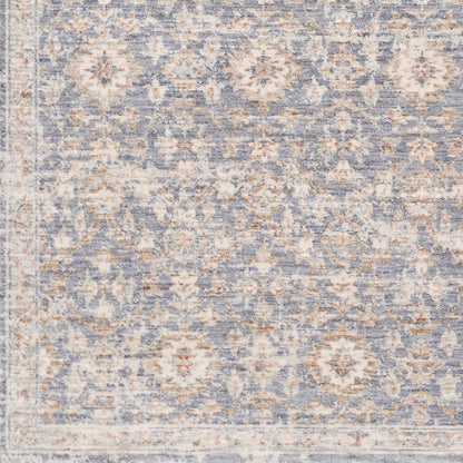 Palazzo PZL-2303 2' x 3' Machine Woven Accent Rug