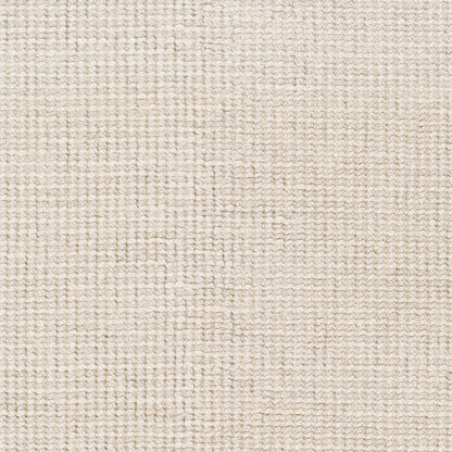 Rebecca RBC-2300 Hand Woven Rug